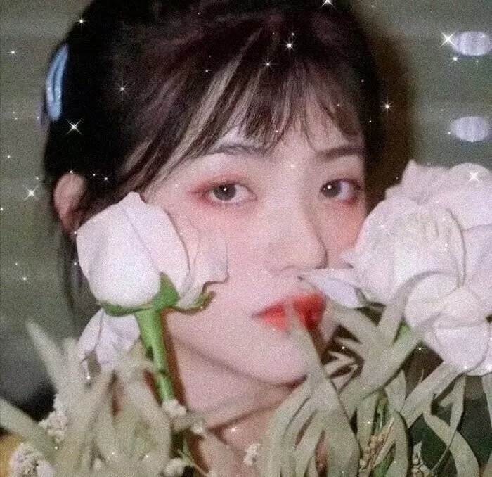 云深不知梦